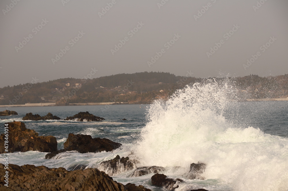 Fototapeta premium 海 -sea-