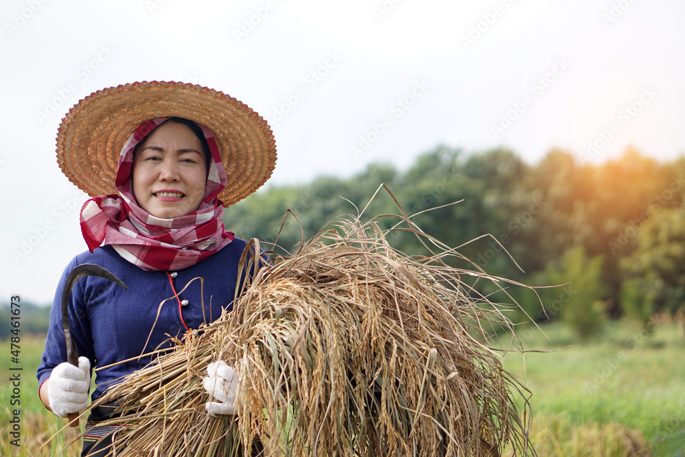 Asian rice field sales hat