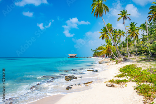 caribbean sea palm trees paradise © dbrus