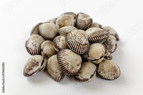 Fényképezés cockle on a white background