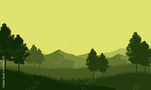 Mountain view with a fantastic silhouette of pine trees at dusk from the outskirts of town