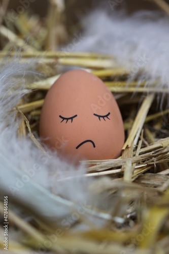 Oeuf de poule endormie dans son nid