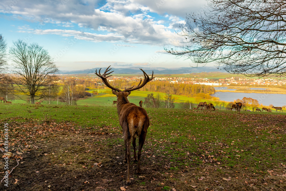 Naklejka premium Erkundungstour durch das schöne Werratal an einem kalten Wintertag - Breitungen - Seeblick