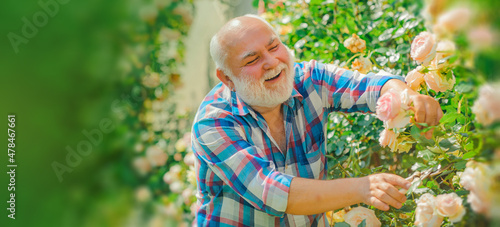 Spring banner of old man outdoor. Senior gardener. A grandfather are working in flowers park. Spring and hobbies.