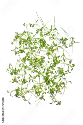 Micro greens arugula sprouts on a white background. Seed sprouts are green. Eco vegan healthy lifestyle. Green natural background texture. Vitamins Amino Acids Benefits Of Organic Superfood.