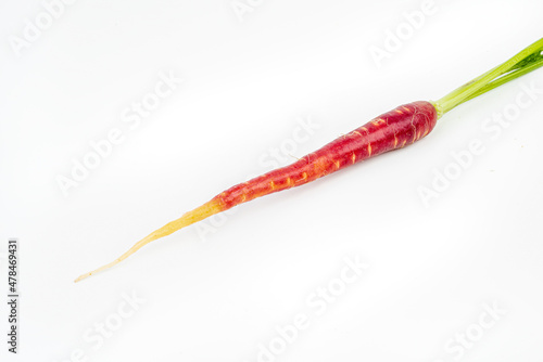 Freshly harvested mini red carrots on isolated white background