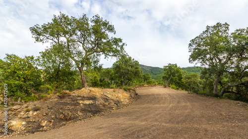 Fotografija unpaved dirt road in in Mediterranean scrubland
