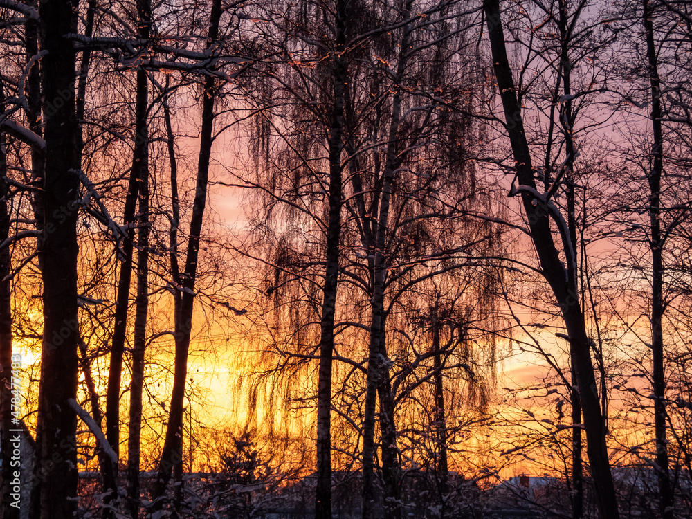 Beautiful, colorful sunset sky view with trees in the dark shadows in foreground in the evening in winter Beautiful, colorful sunset sky view with trees in the dark shadows in foreground in the evening in winter