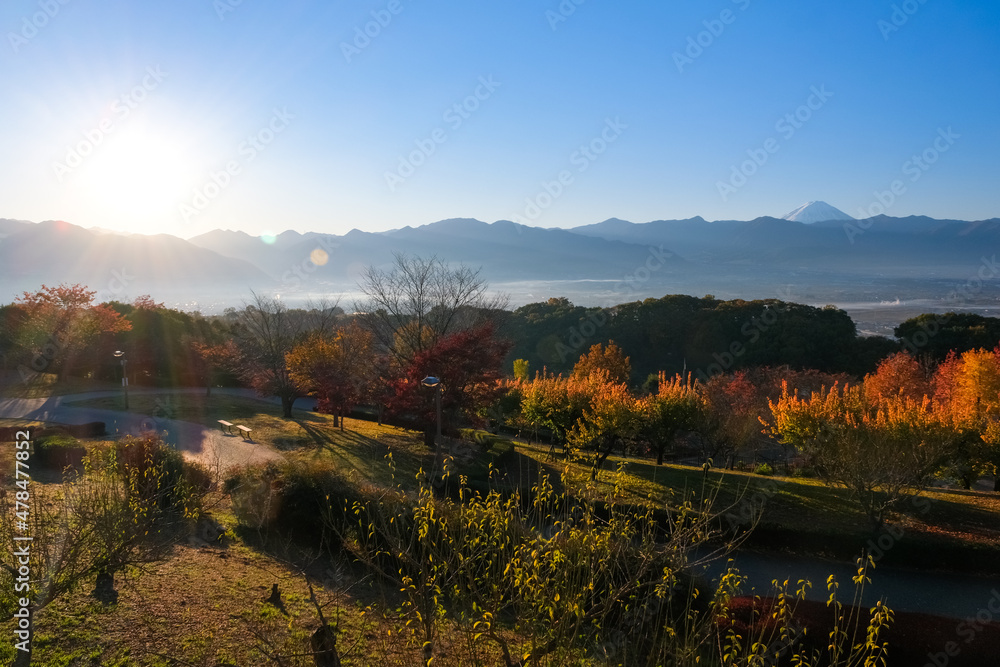 山梨市 早朝の山梨県笛吹川フルーツ公園から眺める、秋の富士山と甲府盆地