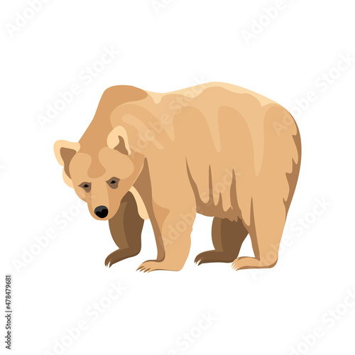 Standing predatory brown bear. vector illustration