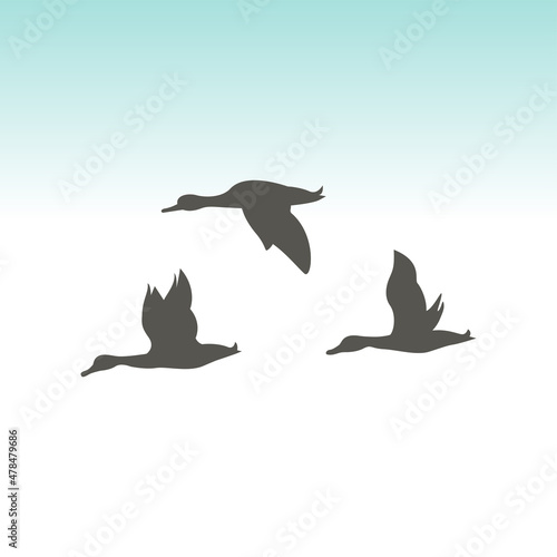 Wild ducks flying in the sky. vector illustration