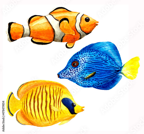 set of bright tropical fish watercolor illustration
