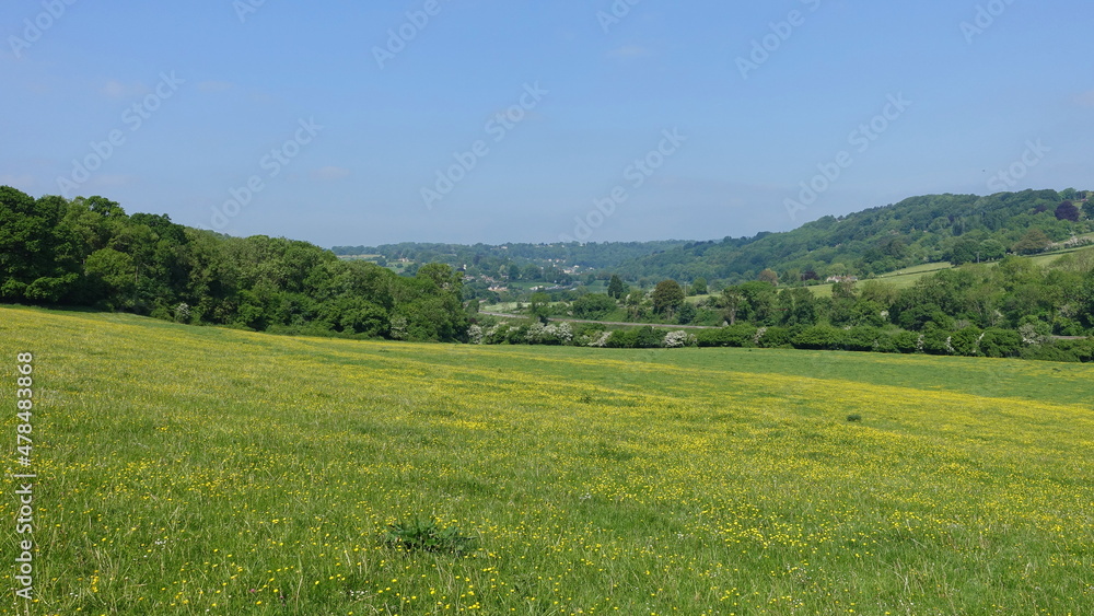 beautiful landscape view of a green field and blue sky