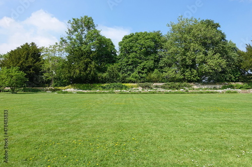 Garden lawn with leafy trees and blue sky above