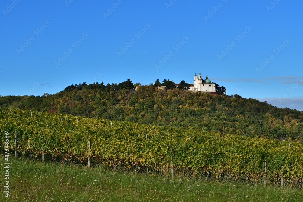 Leopoldsberg und Weingut Nähe Wien, Österreich im Herbst