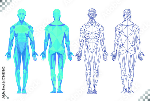 Wallpaper Mural low poly high tech blue color human body triangles and black line art transparent background