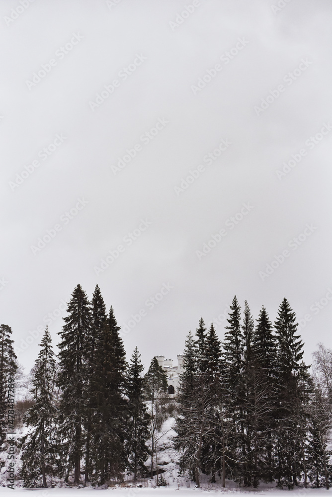 Park Mon Repos or Monrepos in a snowy forest in Vyborg in winter
