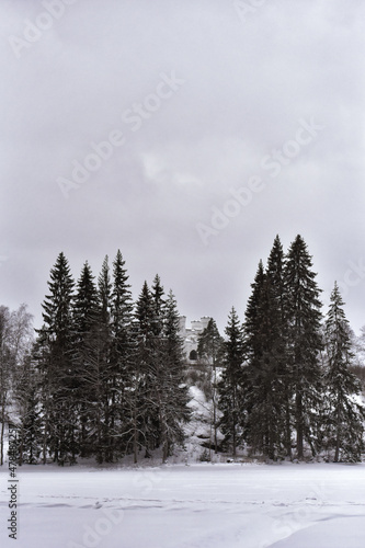 Park Mon Repos or Monrepos in a snowy forest in Vyborg in winter © Алина Лобанова