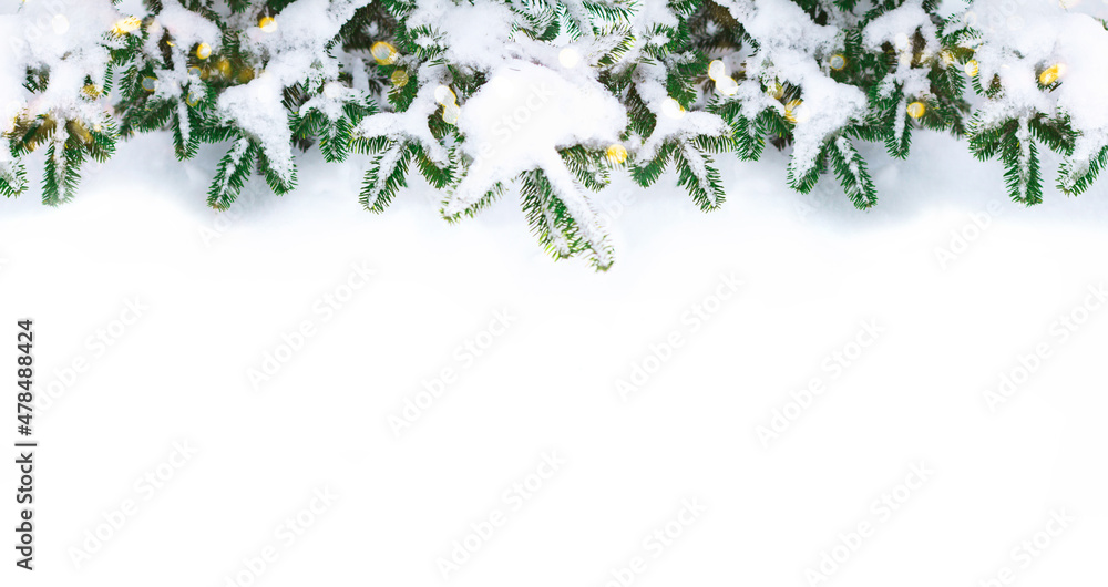 Festive background of Christmas tree branches in the snow. The theme of Christmas and New Year. Flat layout, top view