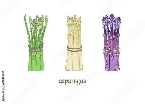 Food. Three types of asparagus on a white background. Sample.
