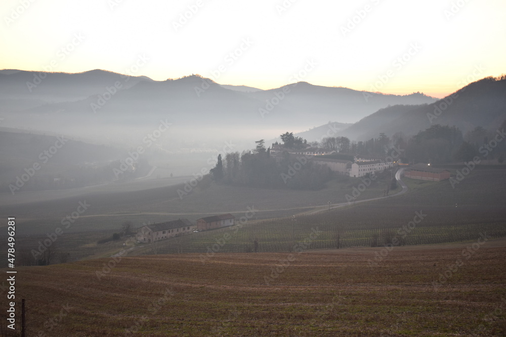Nebbia in collina in oltrepò pavese