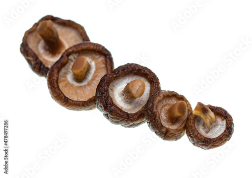 shiitake mushrooms on white background