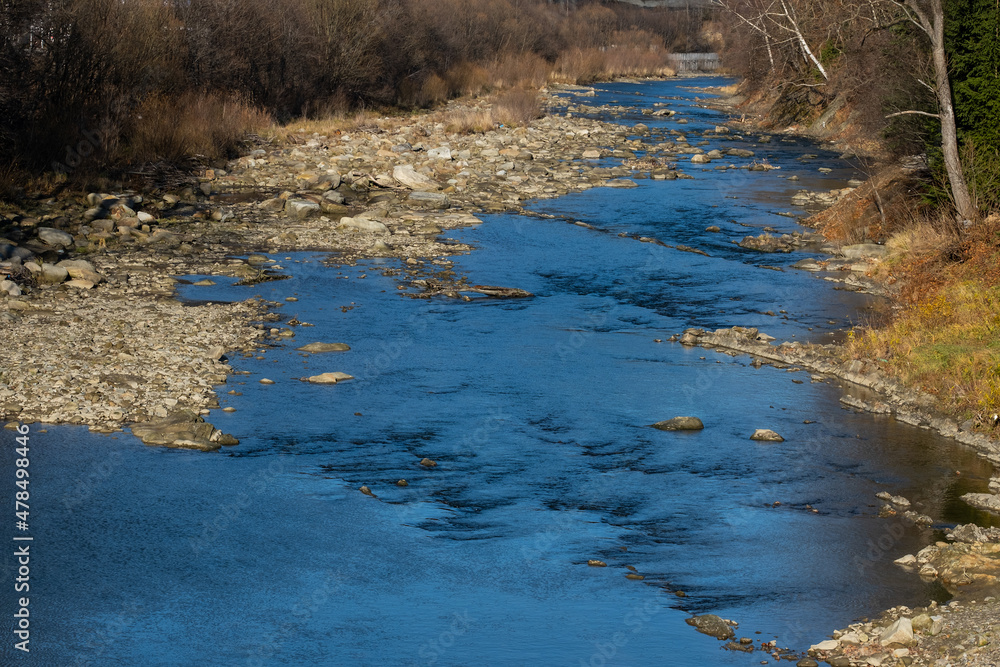 Carpathian forest. Small mountain river in the Carpathians Carpathian forest. Small mountain river in the Carpathians