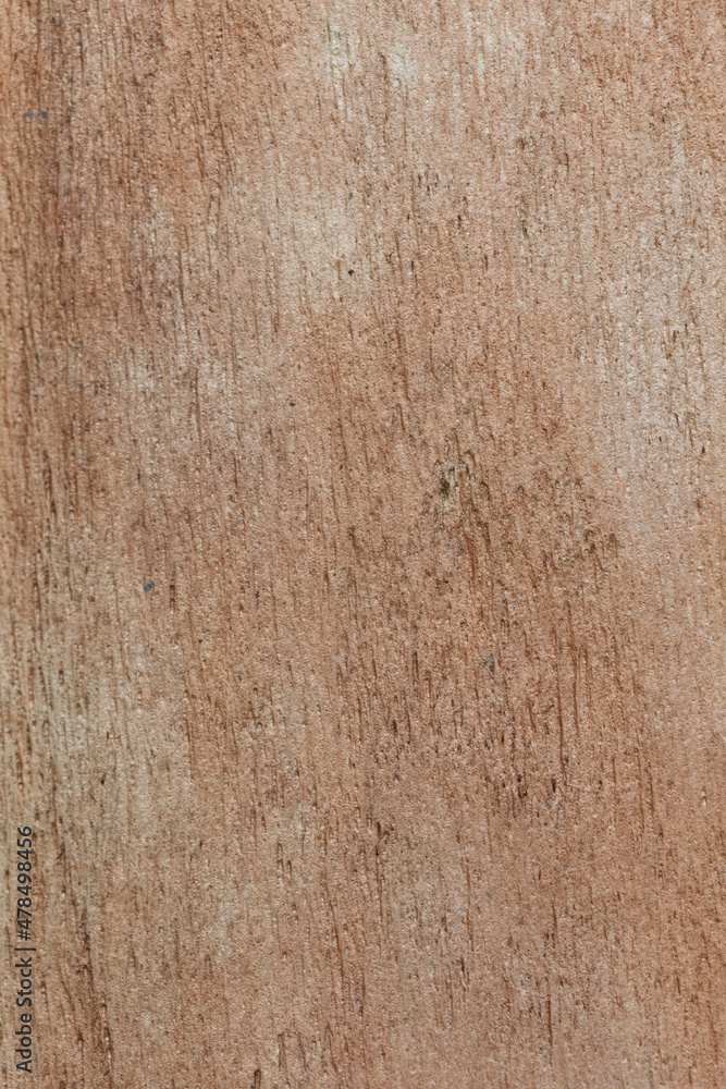 Real nature texture great for background Real nature texture great for background