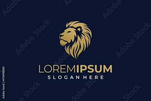 Elegant lion head logo on dark background