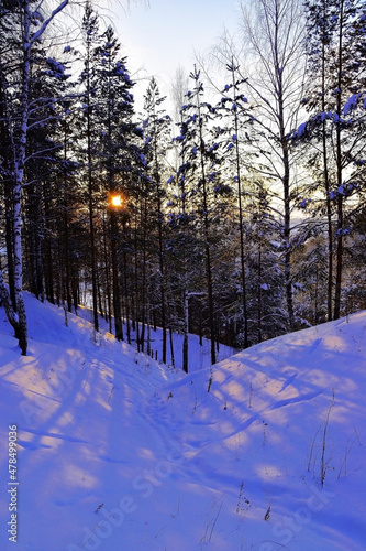Fototapeta Naklejka Na Ścianę i Meble -  Traces of transport in the winter forest at sunset