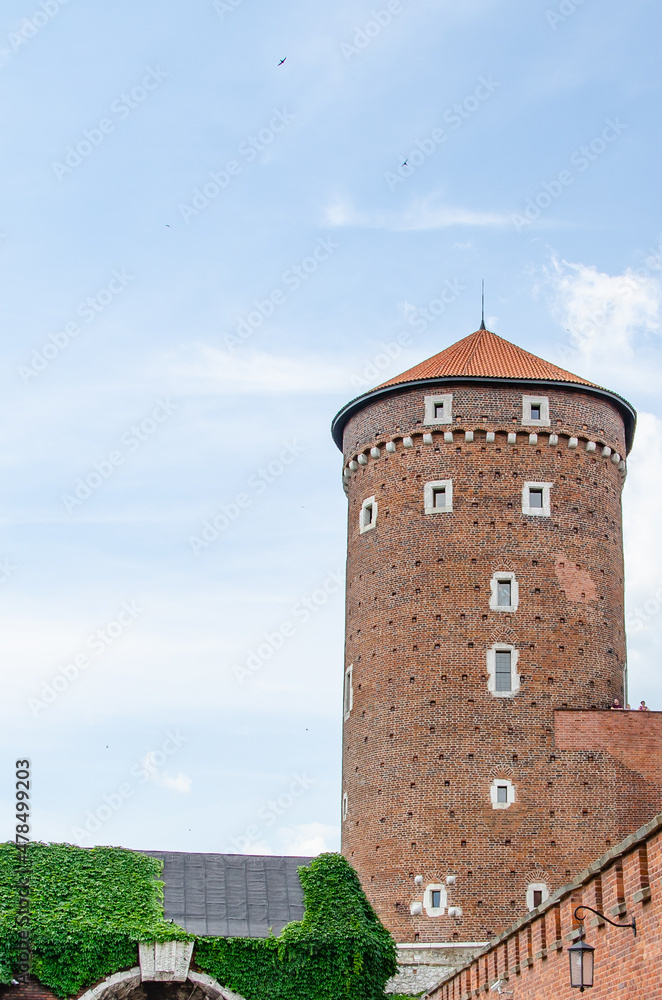 tower of castle tower of castle