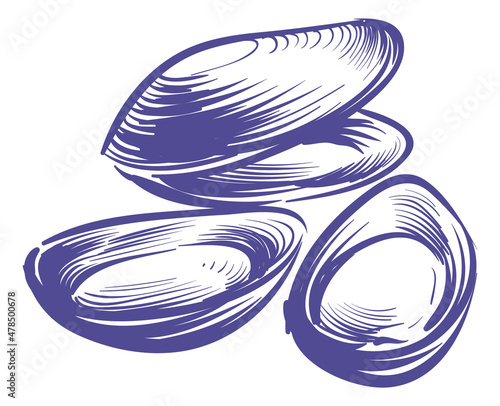 Open mussels in hand drawn style. Underwater animal