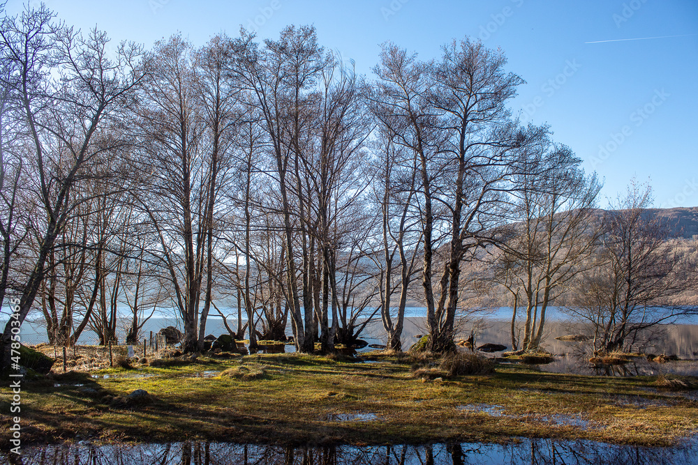 .Lake Sanabria, Zamora, a sunny winter day. the lake is calm, there are rocks and trees. .Lake Sanabria, Zamora, a sunny winter day. the lake is calm, there are rocks and trees.