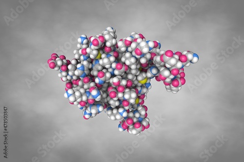 Space-filling molecular model of human interleukin-33. Atoms are shown as spheres with color coding: carbon (grey), oxygen (red), hydrogen (white), nitrogen (blue), sulfur (yellow). 3d illustration