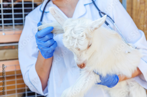 Fototapeta Naklejka Na Ścianę i Meble -  Young veterinarian woman with stethoscope holding and examining goat kid on ranch background. Young goatling with vet hands for check up in natural eco farm. Animal care and ecological farming concept