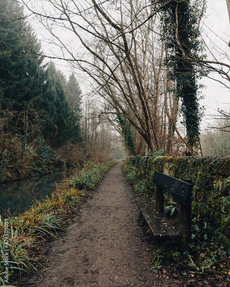 Towpath by the canal in winter Towpath by the canal in winter