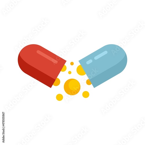 Digestion capsule icon flat isolated vector