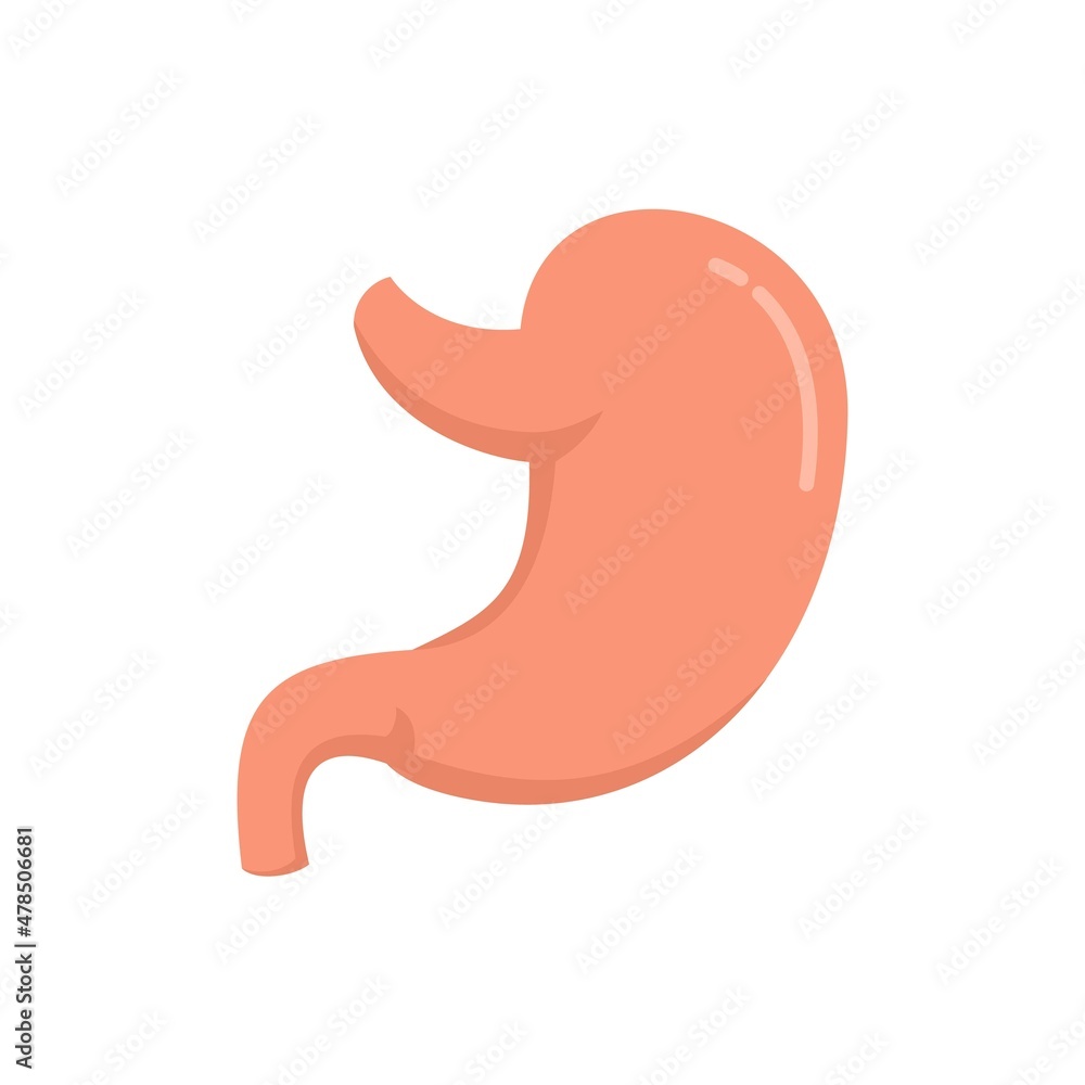 Healthy stomach icon flat isolated vector
