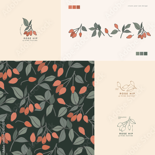 Vector illustration rose hip branch - vintage engraved style. Logo composition in retro botanical style.