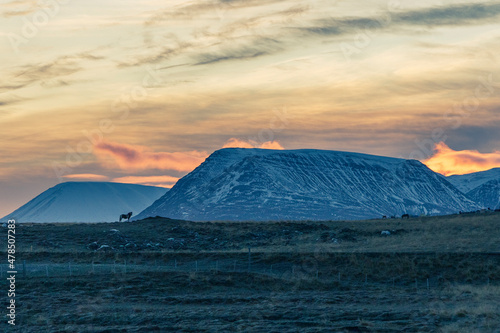 Árskógssandur Northern Iceland