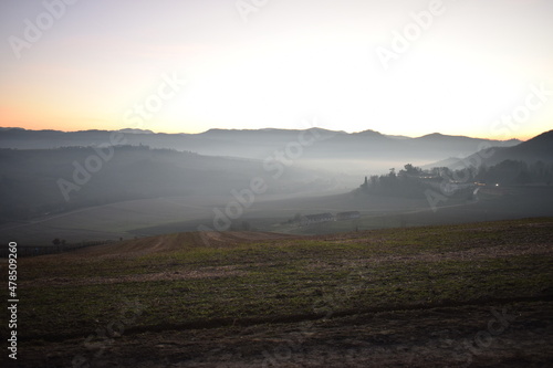 Nebbia in collina in oltrepò pavese