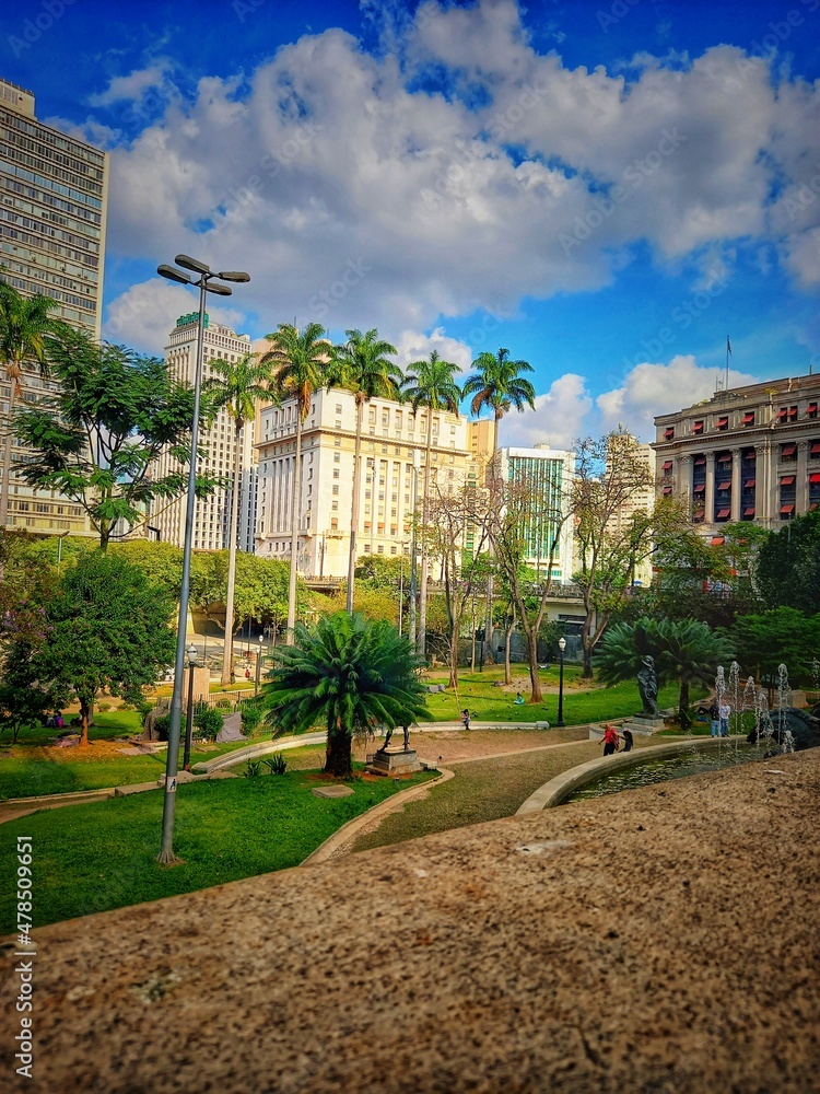 Fototapeta premium park country