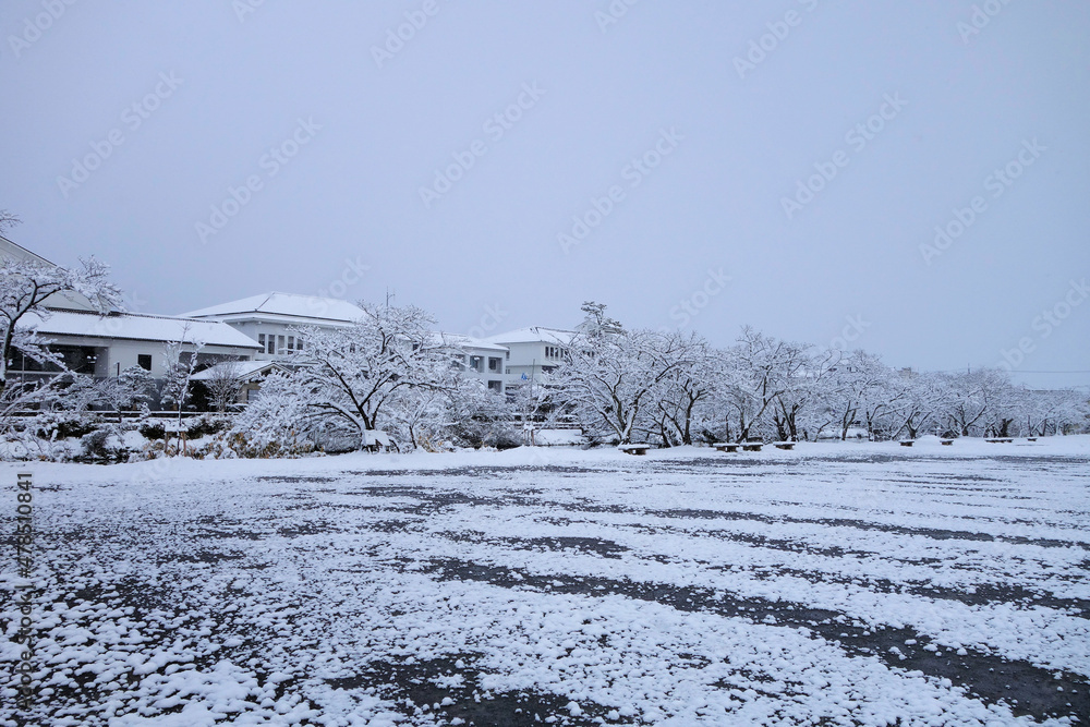 Obraz premium 丹波篠山 雪の篠山城跡 三の丸広場 1月