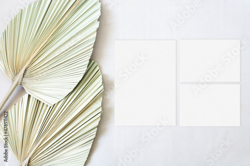 Wedding suite mockup with leaf palm on the beige background
