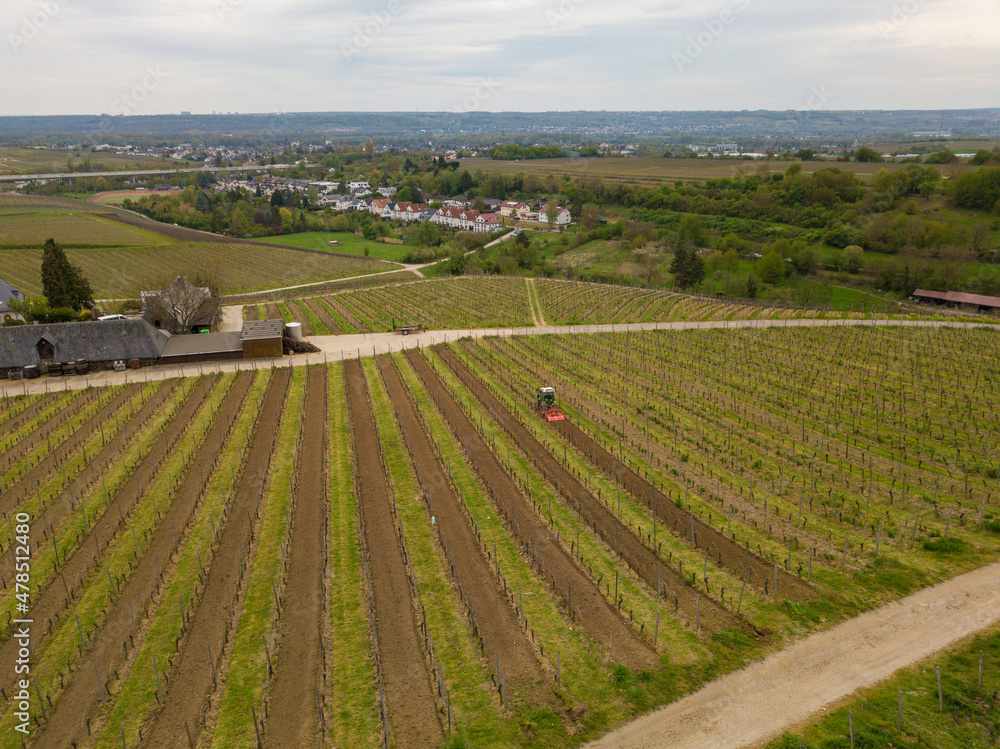 Drohne Luftbild von Weingut und Weinbergen im Rheingau nahe Oestrich-Winkel