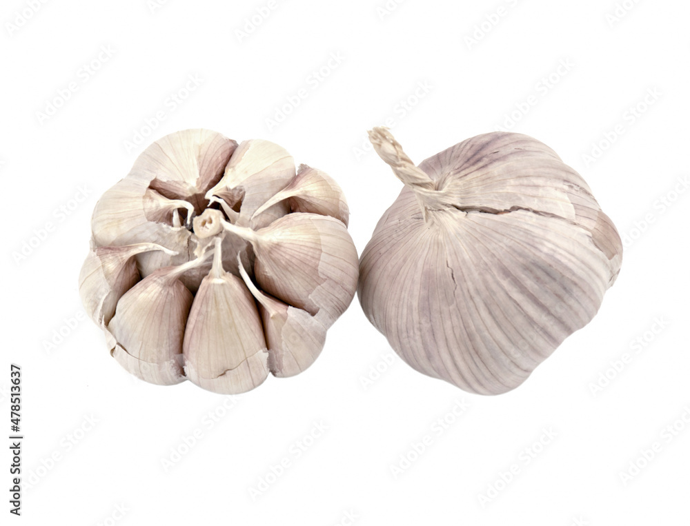 Fototapeta premium garlic,allium sativum isolated on white background