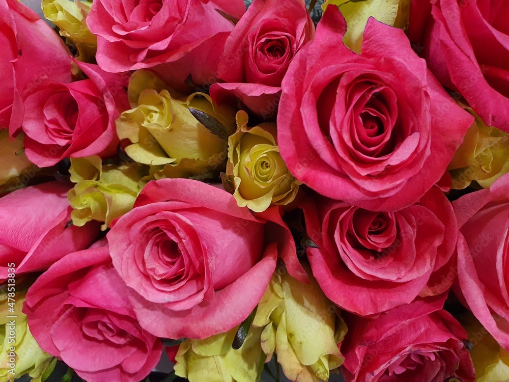 Lots of beautiful roses wallpapers. and looks bright instead of meaning love, care, encouragement and good wishes Lots of beautiful roses wallpapers. and looks bright instead of meaning love, care, encouragement and good wishes