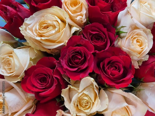 Lots of beautiful roses wallpapers. and looks bright instead of meaning love  care  encouragement and good wishes