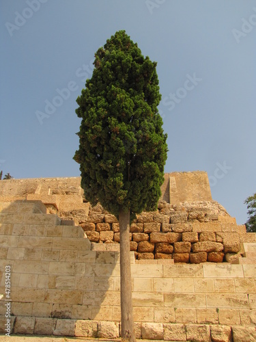 ruins of ancient city