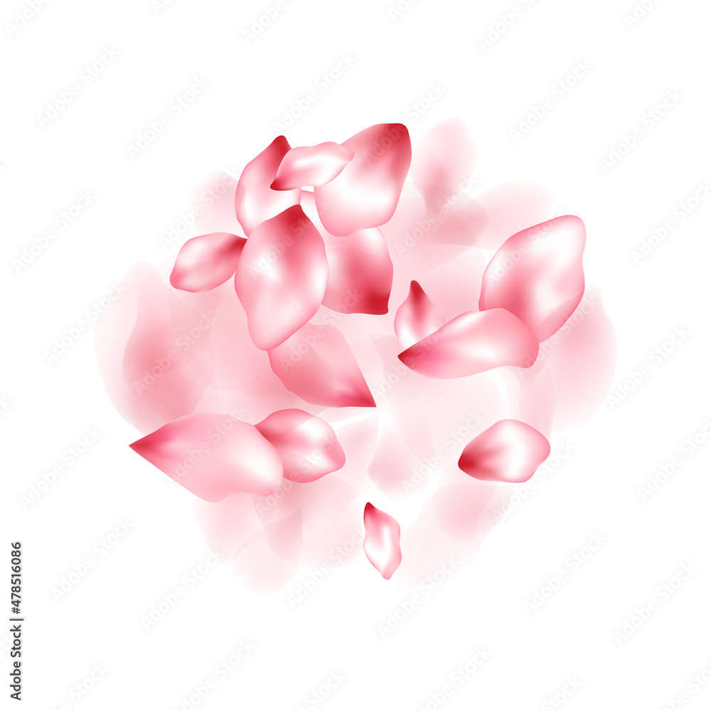 Fototapeta premium Pink sakura flower flying petals isolated on white vector background.